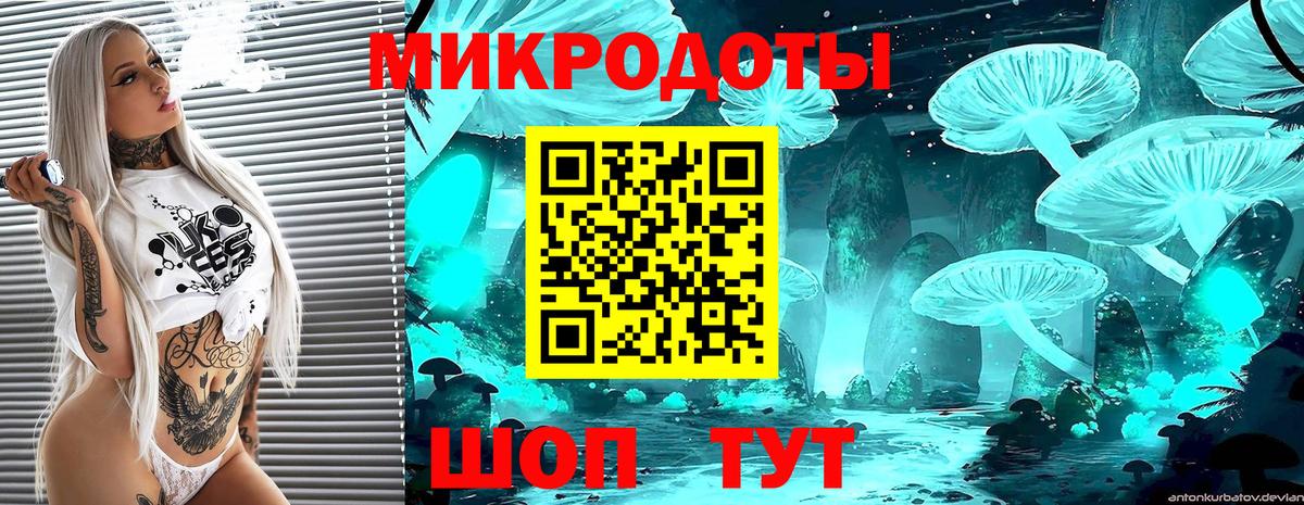 Галлюциногенные грибы прущие грибы Богородск