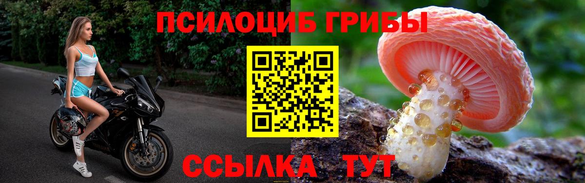 Богородск  Галлюциногенные грибы GOLDEN TEACHER  Вход с VPN 